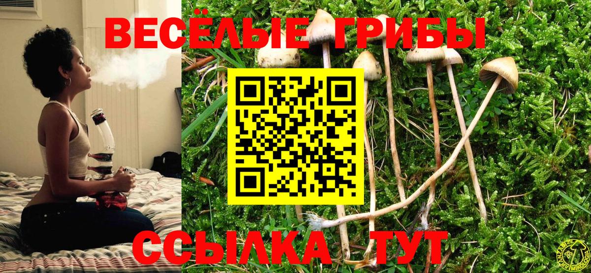 Галлюциногенные грибы Magic Shrooms Усинск
