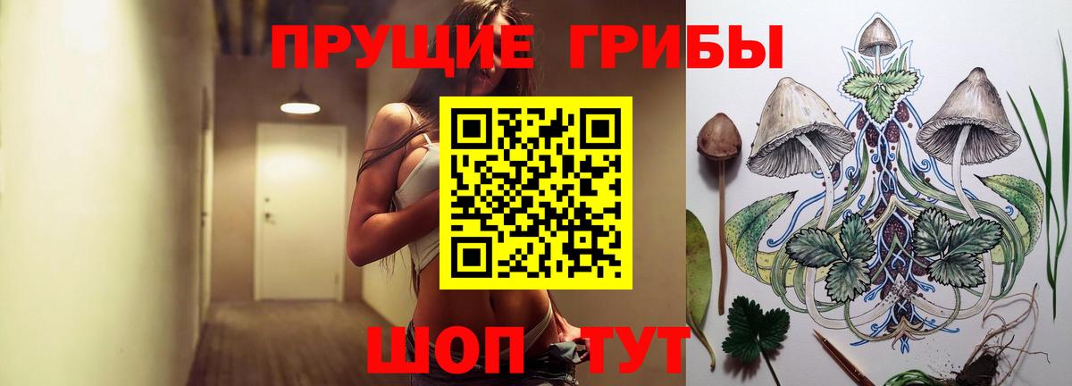 Усинск  Псилоцибиновые грибы Psilocybine cubensis  Псилоцибиновые грибы прущие грибы  Вход с VPN 